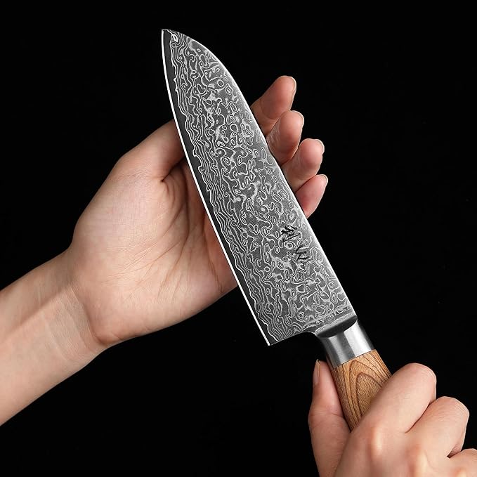 Wakoli EDIB Pro 4-Piece Damascus Knife Set ??Professional Chef Knives Set with VG10 Core Blades, 67-Layer Damascus Steel and Ergonomic Pakkawood Handles ??Premium Kitchen Knives in Elegant Gift Box