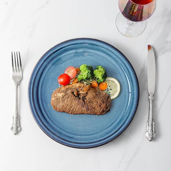 HASENSE 10 Inch Dinner Plates Set of 6,Ceramic Large Porcelain Pasta and Salad Plates,Blue Stoneware Plate Set Microwave,Oven,and Dishwasher Safe