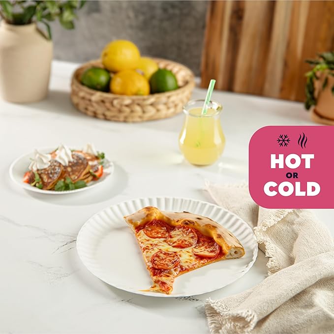 Bulk Paper Plates (400)