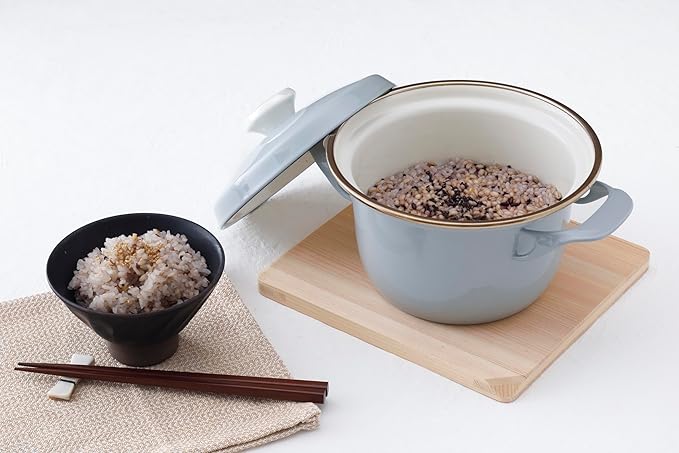 FUJIHORO JAPAN EX Series Cocotte EX-16C (Smoke Green), Enamel Kitchenware, PFAS-free, Japanese Design & Craftmanship