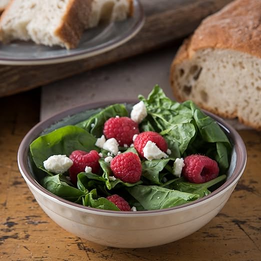 Carlisle FoodService Products Mingle Resuable Plastic Bowl Small Bowl with Pottery Style for Home and Restaurant, Melamine, 17 Ounces, Smoke, (Pack of 12)