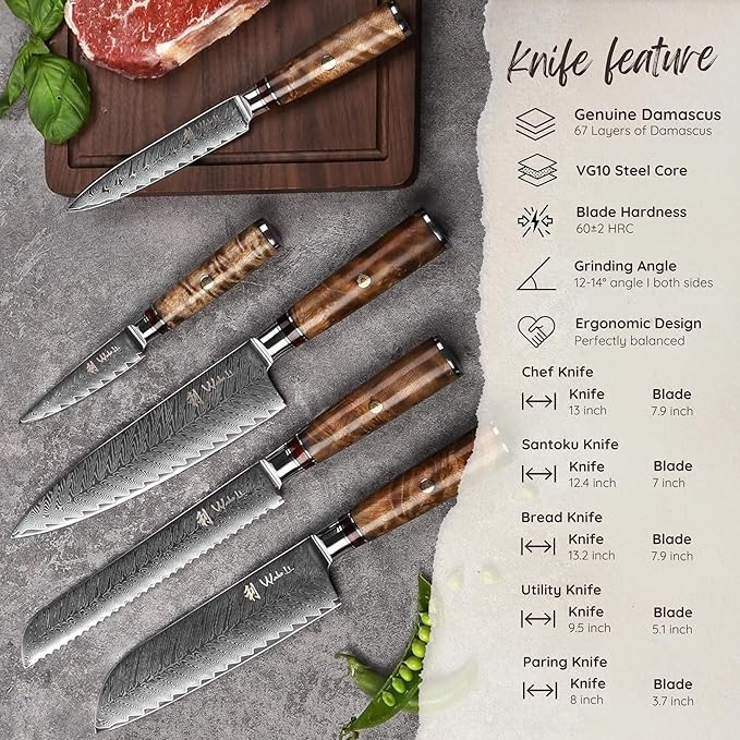 Wakoli Damascus Chef Knife Set with Magnetic Block ??5-Piece Professional Kitchen Knife Block Set, Genuine 67-Layer Damascus Steel Blades with VG10 Core & Ergonomic Sycamore Wood Handles