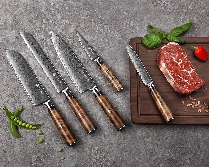 Wakoli Damascus Chef Knife Set with Magnetic Block ??5-Piece Professional Kitchen Knife Block Set, Genuine 67-Layer Damascus Steel Blades with VG10 Core & Ergonomic Sycamore Wood Handles