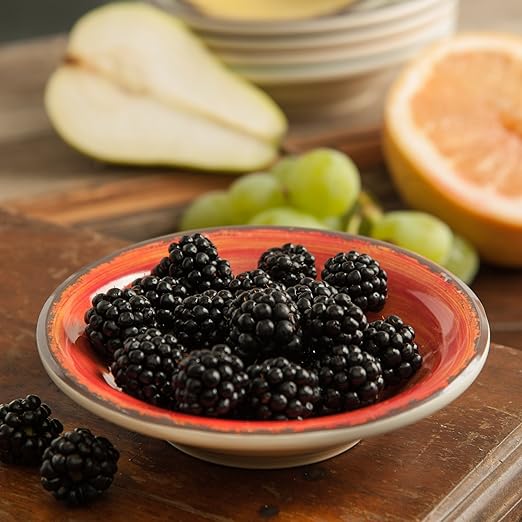 Carlisle FoodService Products Mingle Reusable Plastic Bowl Fruit Bowl with Pottery Style for Home and Restaurant, Melamine, 4.5 Ounces, Fireball