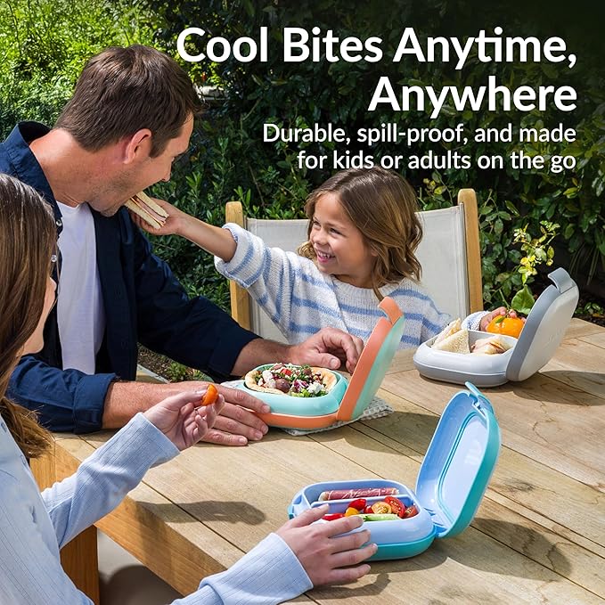 Bentgo Chill Mini Leak-Proof Lunch Box ??Built-In Ice Pack Keeps Food Cold, 2.7-Cup Capacity for Snacks or a Sandwich, 3 or 4 Compartments, PFAS & BPA-Free, Ideal for Adults & Kids 3+ (Crisp Grays)