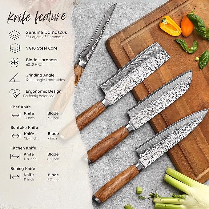 Wakoli Damascus Knife Block Set ??4-Piece Professional Kitchen Knives with Magnetic Block ??Kitchen Knife Set made of 67-Layer Damascus Steel Blades & Ergonomic Zebrawood Handles