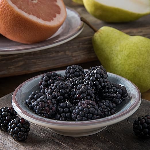 Carlisle FoodService Products Mingle Reusable Plastic Bowl Fruit Bowl with Pottery Style for Home and Restaurant, Melamine, 4.5 Ounces, Smoke