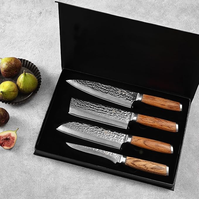 Wakoli Damascus Knife Block Set ??4-Piece Professional Kitchen Knives with Magnetic Block ??Kitchen Knife Set made of 67-Layer Damascus Steel Blades & Ergonomic Zebrawood Handles