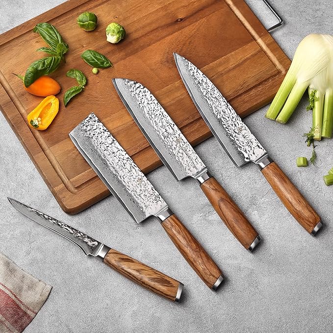 Wakoli Damascus Knife Block Set ??4-Piece Professional Kitchen Knives with Magnetic Block ??Kitchen Knife Set made of 67-Layer Damascus Steel Blades & Ergonomic Zebrawood Handles